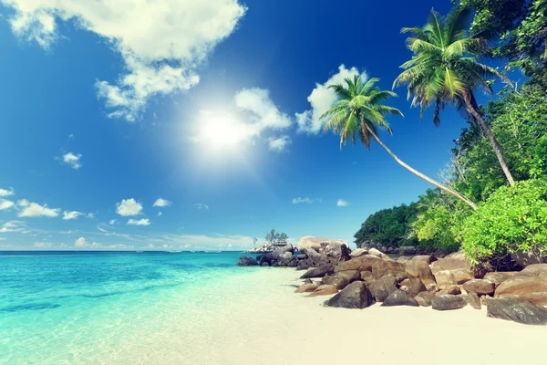 Playa en la isla de Mahe, Seychelles — Foto de Stock