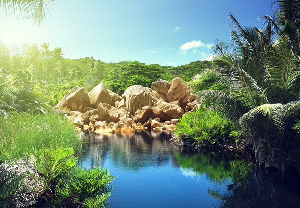 lake in jungle of Seychelles, La Digue island