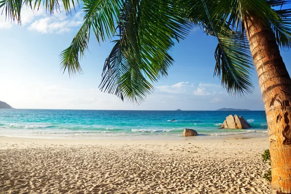 Anse lazio beach, praslin island, Seychellerna — Stockfoto