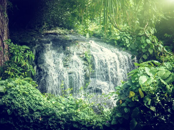 Cachoeira em selvas de Seychelles, ilha de Mahe — Fotografia de Stock