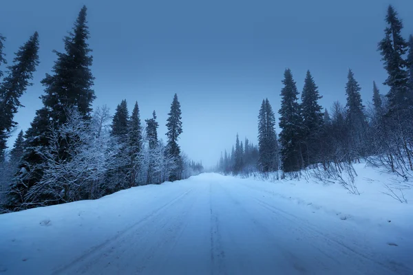 Estrada noturna na floresta de inverno — Fotografia de Stock