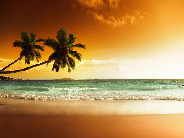 Sunset on the beach of caribbean sea — Stock Photo, Image