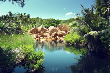 Seyşel Adaları, la digue Adası ormanları içinde göl