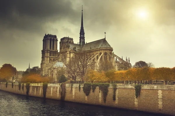 Notre Dame Paris, Frankreich — Stockfoto