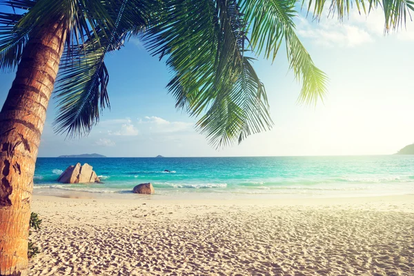 Анс Лаціо пляжу острова Праслен, Сейшельські острови — стокове фото