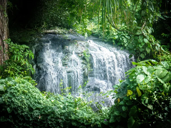 Cascata nelle giungle delle Seychelles, isola di Mahe — Foto Stock