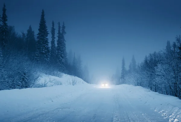 Огни автомобиля и зимняя дорога в лесу — стоковое фото