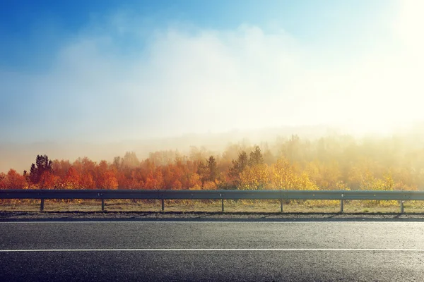 Höstens road i solnedgång — Stockfoto