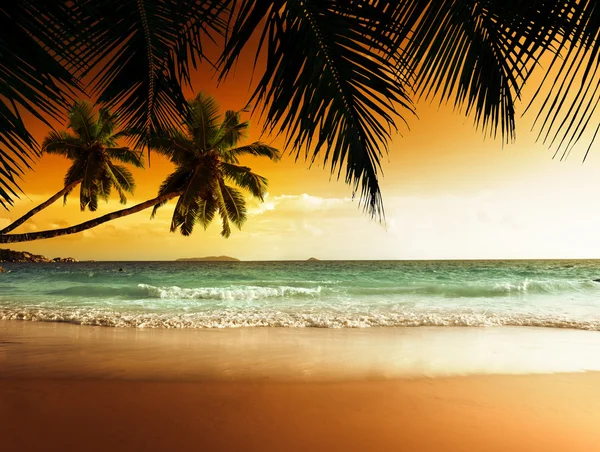 Zonsondergang op het strand van Caribische zee — Stockfoto