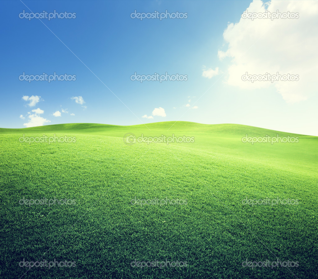 green field and blue sky