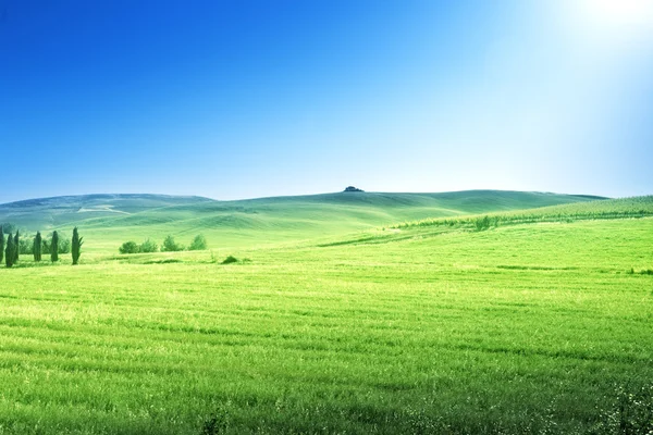 Colline nella giornata di sole Toscana, Italia — Foto Stock