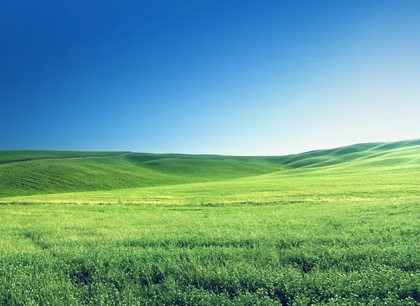 Colline nella giornata di sole Toscana, Italia — Foto Stock