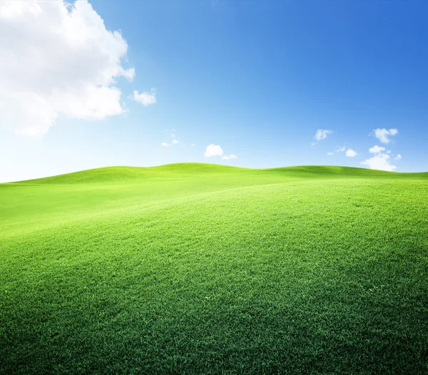 Grüne Wiese und blauer Himmel — Stockfoto