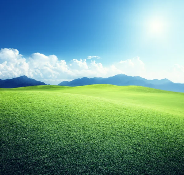 Green field and mountains — Stock Photo, Image