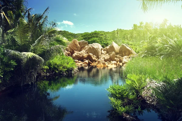 Lago en la selva de Seychelles, isla de La Digue — Foto de Stock