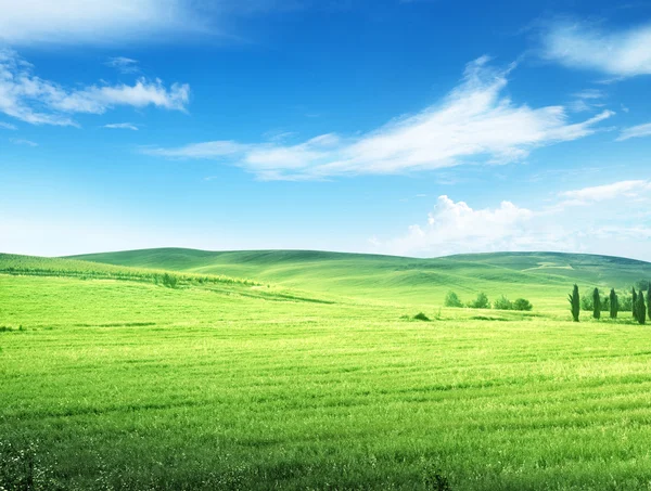 Heuvels in zonnige dag Toscane, Italië — Stockfoto