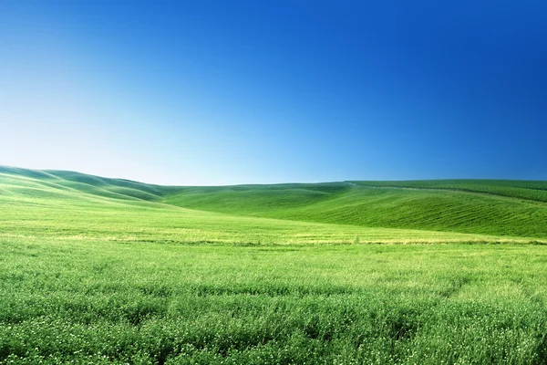 Hügel in der sonnigen Toskana, Italien — Stockfoto