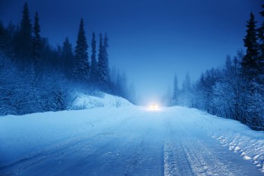 Araba ve kış road Forest ışıkları