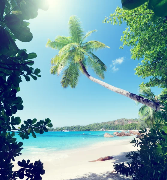 Anse Lazio beach on Praslin island in Seychelles — Stock Photo, Image