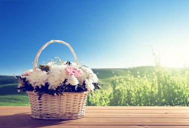 çiçekler bahar ve tablo alanı
