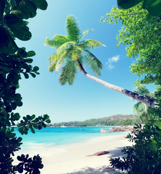 Playa Anse Lazio en la isla Praslin en Seychelles — Foto de Stock