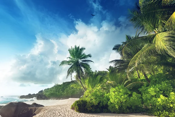 Solnedgång på Seychellerna beach — Stockfoto