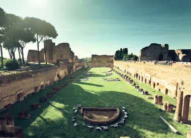 Ruins of Stadium Domitanus at the Palatine Hill in Rome, Italy  clipart