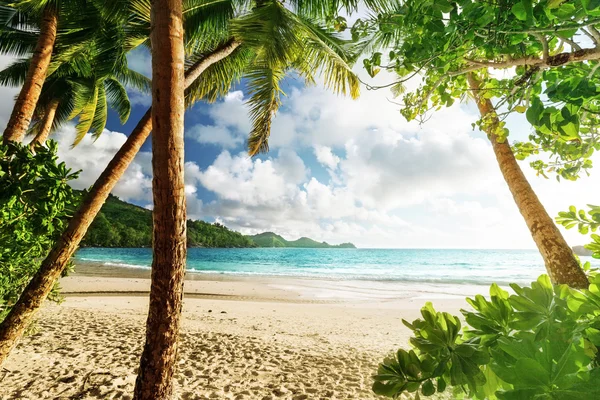 Puesta de sol en la playa Takamaka, Isla Mahe, Seychelles — Foto de Stock