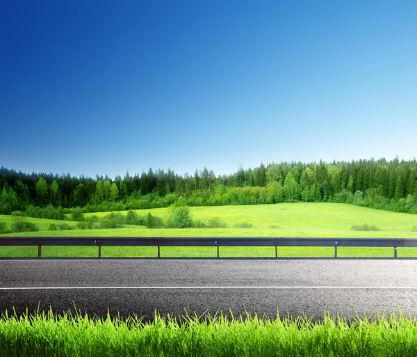 Estrada e grama primavera — Fotografia de Stock
