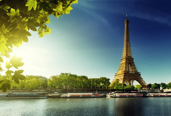Seine in Paris with Eiffel tower Stock Image