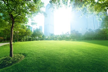 Lujiazui finans merkezine park et, Şangay, Çin