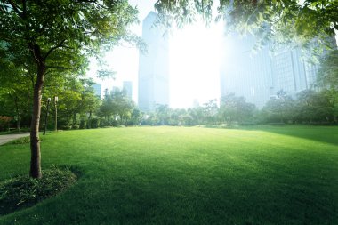 Lujiazui finans merkezine park et, Şangay, Çin