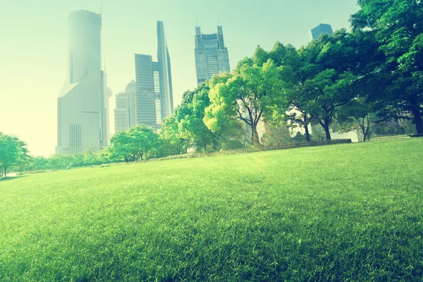 Park in  lujiazui financial center, Shanghai, China — Stock Photo, Image