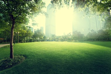 Lujiazui finans merkezine park et, Şangay, Çin