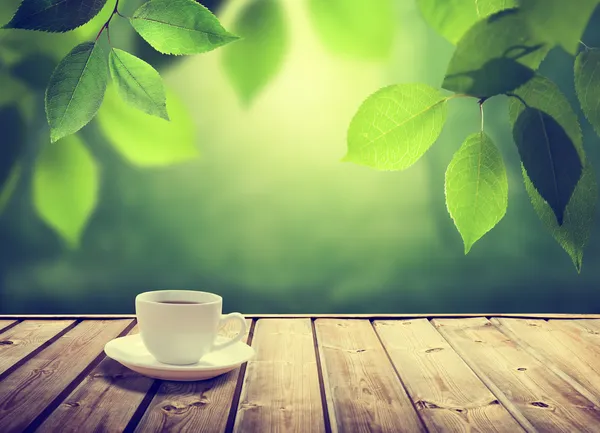 Kop koffie en zonnige bomen achtergrond — Stockfoto