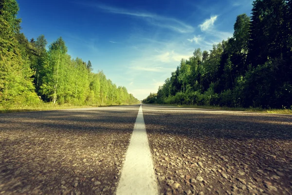 Straße im tiefen Wald — Stockfoto