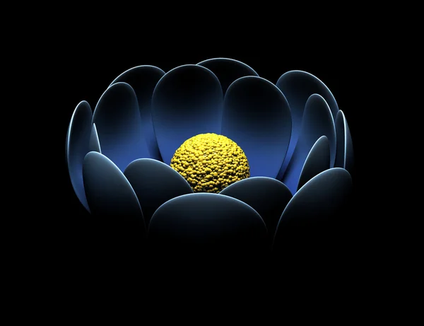 Fleur bleue — Photo
