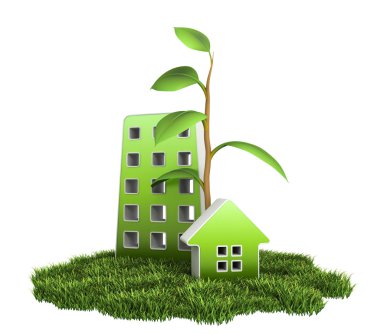 çimenlerin üzerinde yeşil ev