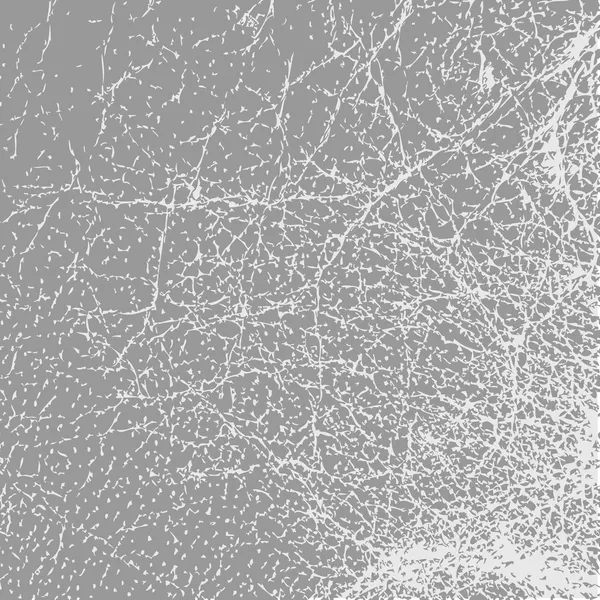 soyut deri dokusu gri renkli vektör