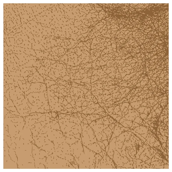 Perfect vector brown leather texture isolated — Stock Vector