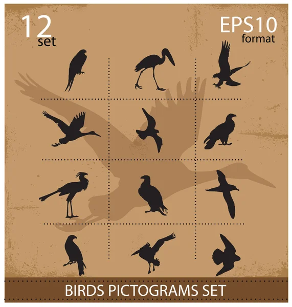 Set of silhouettes birds symbols — Stock Vector