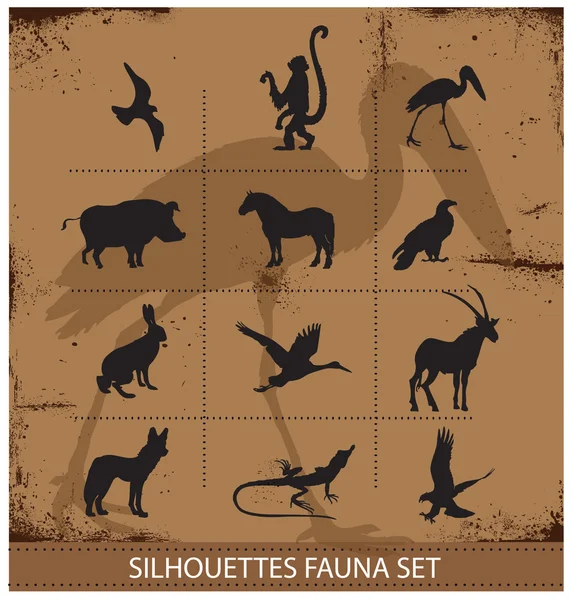 Colección de conjuntos de siluetas de símbolos de fauna Safari — Archivo Imágenes Vectoriales