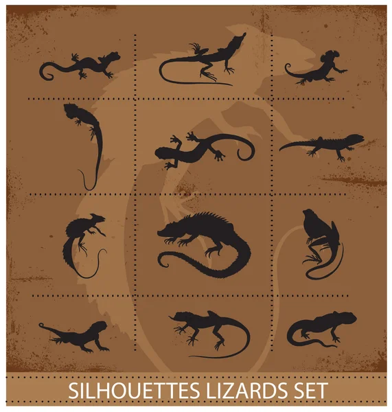 Collection reptiles and amphibians symbols set