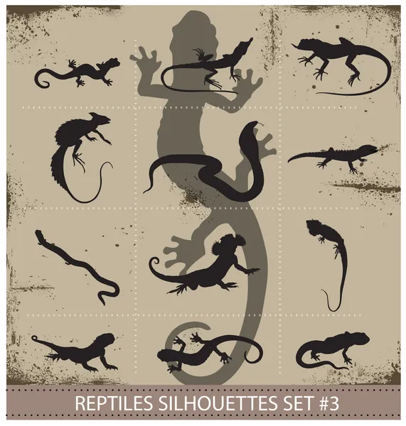 Big collection of vector reptiles silhouettes — Stock Vector