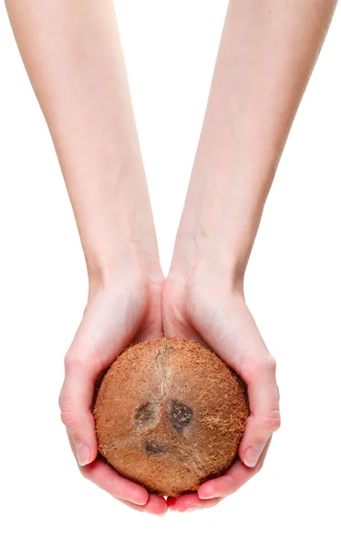 Coconut hands — Stock Photo, Image
