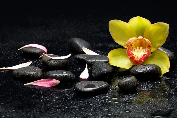 Spa zen taşlar