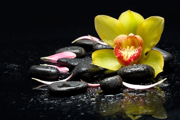 Spa zen taşlar