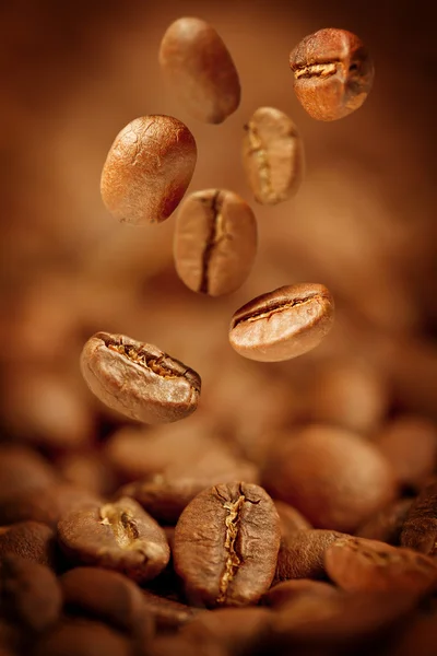 Les grains de café frits parfumés avec un accent sur l'un tombent — Photo