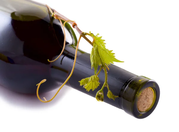 Bottiglia di vino, uva e tappi Fotografia Stock