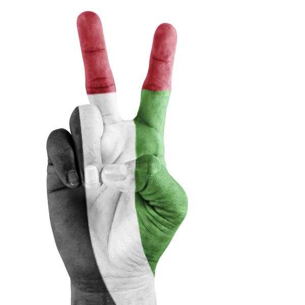 Vlajka Spojených arabských emirátů na vítězné gesto — Stock fotografie